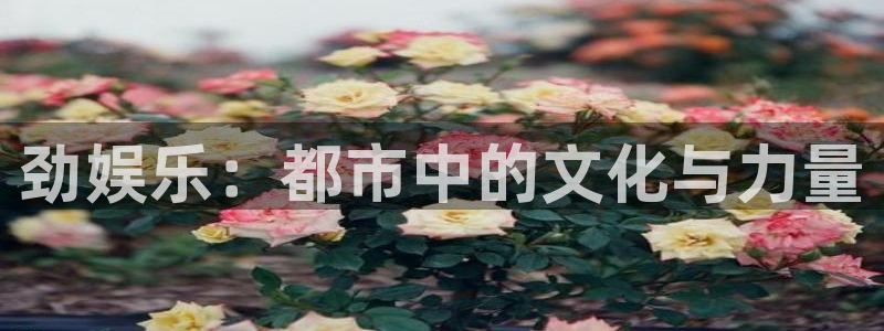 长运娱乐平台注册