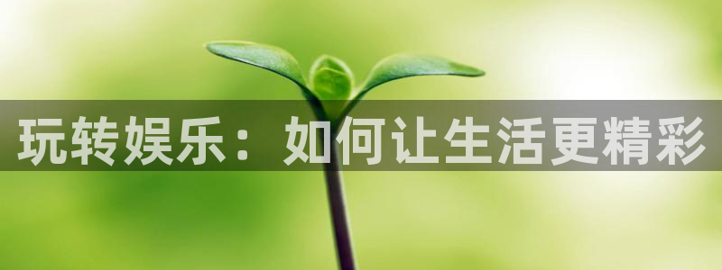 长运娱乐平台官网入口