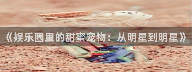 长运娱乐官网登录入口