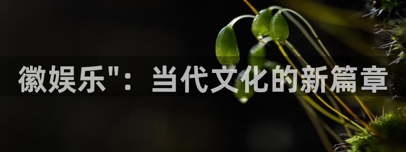 长运娱乐主管