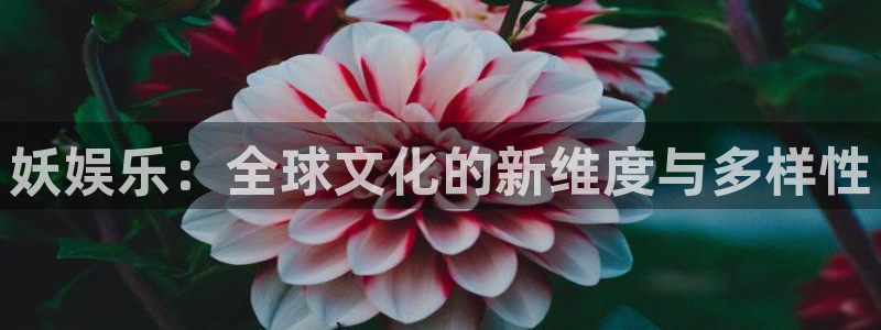 长运娱乐