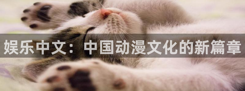 长运娱乐官网登录入口